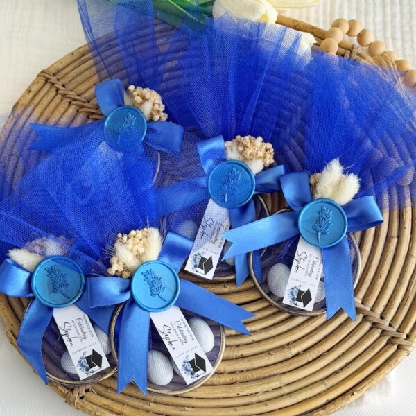Class of 2025 Graduation Candy Favors, Personalized Almonds, Tulle Puff Wax Seal, Custom Name and Tassel Tag, College Grad Gift, Grad Favor