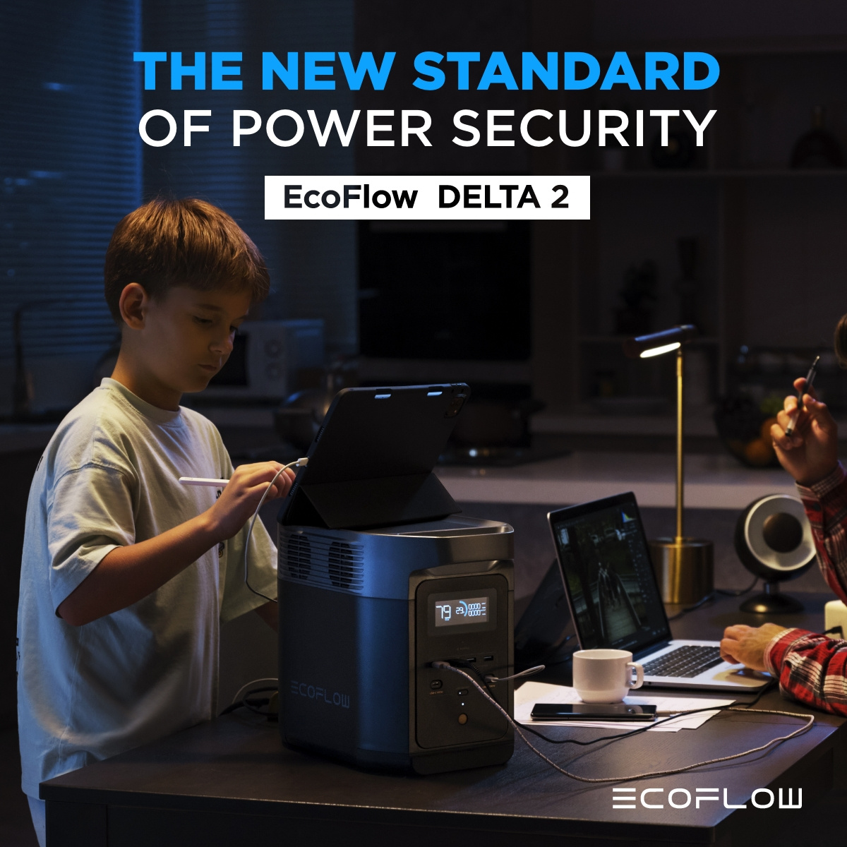 ECOFLOW 950Wh Portable Power Station, Delta 2 LiFePO4 (LFP) Battery, Fast Charging, Solar Power Bank (Solar Panel and Extray Battery not included) for Home Backup Power, Camping & RV (Father's Day) - Image 8