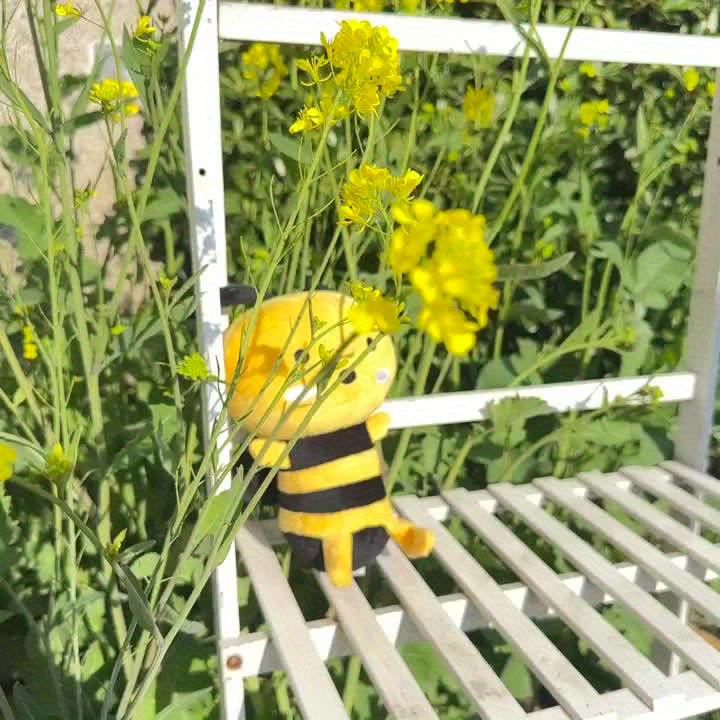 JIAJCHUF, Little Bee Plush Doll, Toy Gift, Holiday Gift, Two Little Bees Flying In The Flowers. - Image 10