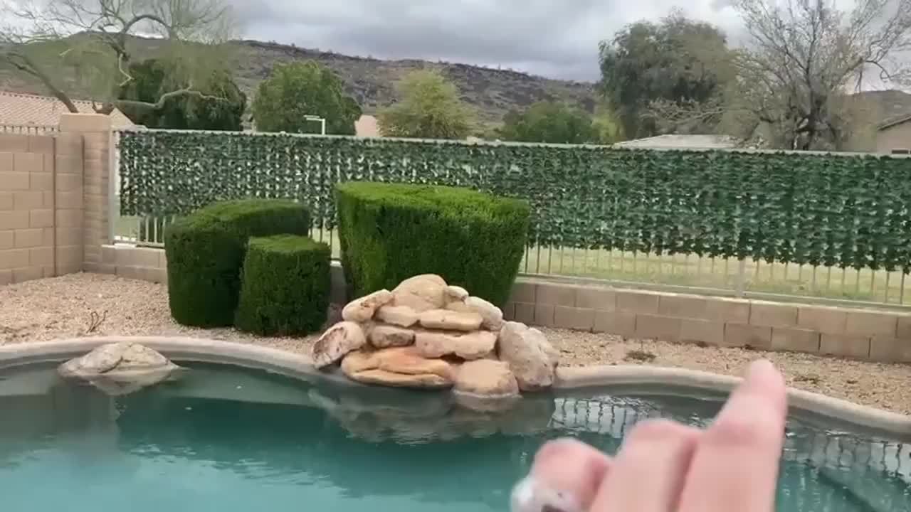 118.11inch x 39.37inch Expandable Artificial Evergreen Ivy Privacy Fence Screen - UV-Protected, Waterproof Plastic Vine Leaf Panel for Outdoor Garden, Patio, Courtyard Decor - Versatile Green Wall Hedge Cover, Fence Decor - Image 10