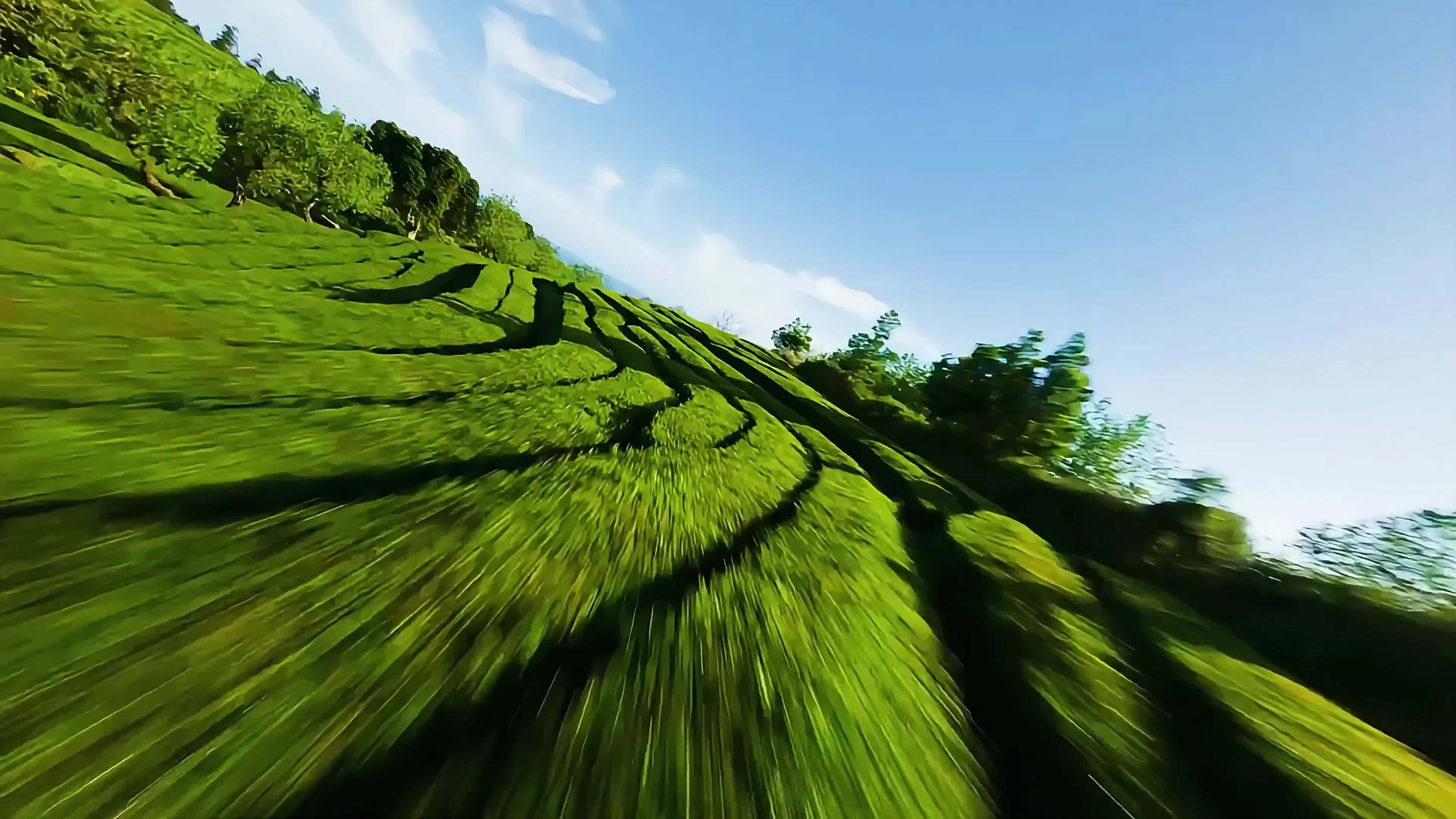 S156 Long-Endurance GPS Drone With Dual Cameras, Brushless Motor, Quad Obstacle Avoidance, Optical Flow Positioning, LCD Remote Controller, Battery/USB Powered -Perfect Gift For Halloween - Image 12