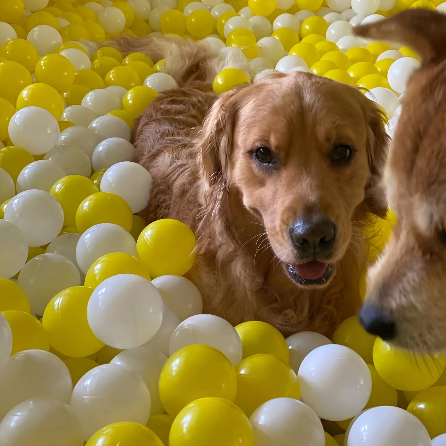 24/34/54/74/104pcs soft plastic ball pit, ocean ball, plastic toy ball, Pet Ball, indoor and outdoor game park toy ball, outdoor sports ball, aquarium ocean ball, Christmas Halloween party decorations - Image 8