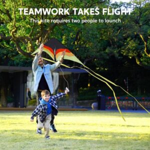 SYNCFUN Large Delta Kite Gradient-Easy to Fly for Youngsters and Adults, Beach Kite with 328ft String for Outdoor Games and Activities